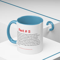 Tampa Bay Rays Mug, Fact #5 (11, 15oz)