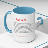 Tampa Bay Rays Mug, Fact #5 (11, 15oz)